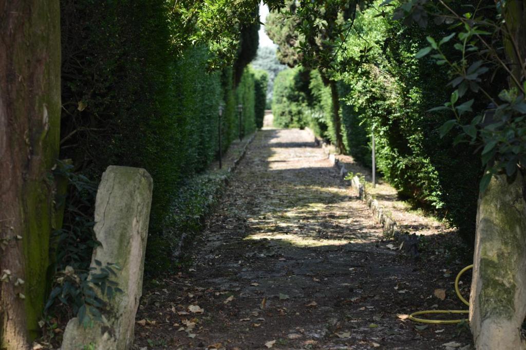 Relais Villa San Matteoサン・ピエトロ・イン・カリアーノ エクステリア 写真